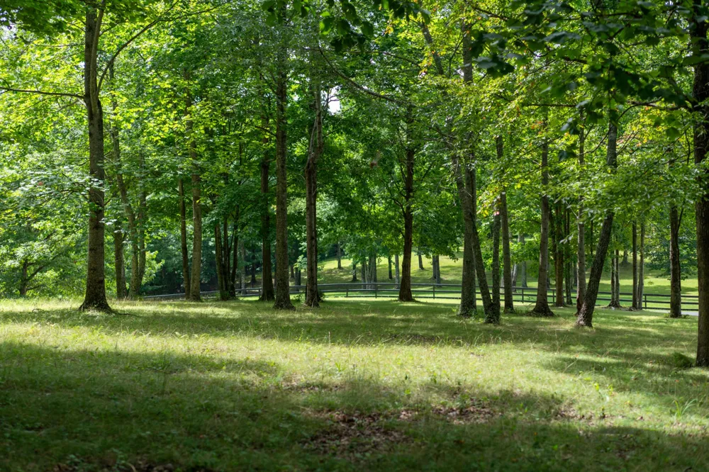 243 Roaring Creek Road Dunlap, TN 37327
