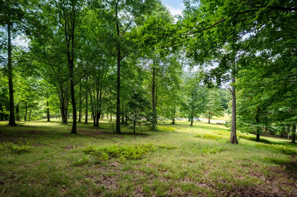 243 Roaring Creek Road Dunlap, TN 37327