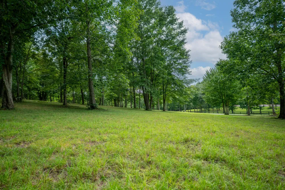 243 Roaring Creek Road Dunlap, TN 37327