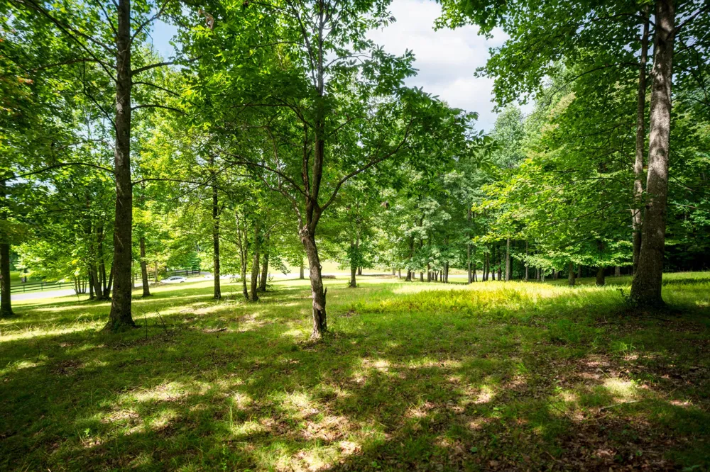 243 Roaring Creek Road Dunlap, TN 37327
