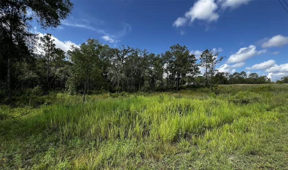 7398 WAGERS DRIVE Webster, FL 33597