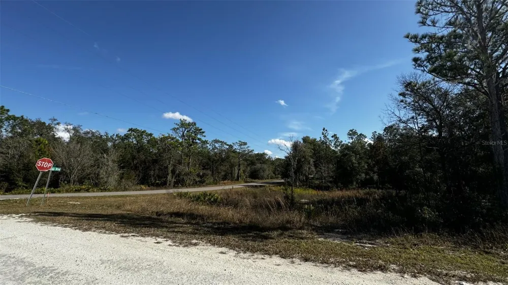 7398 WAGERS DRIVE Webster, FL 33597