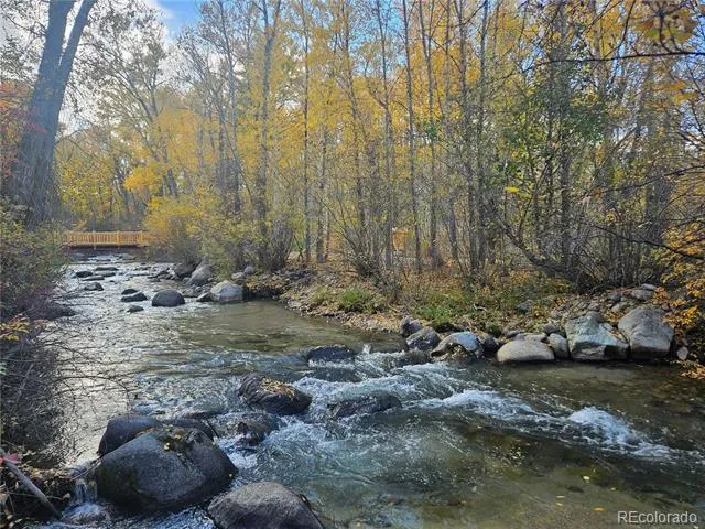 17320 County Road 306 Buena Vista, CO 81211
