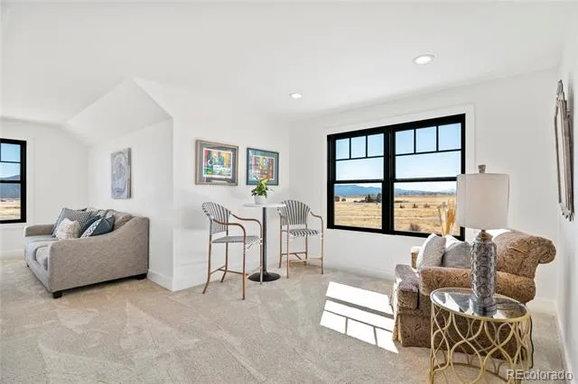 17320 County Road 306 Buena Vista, CO 81211