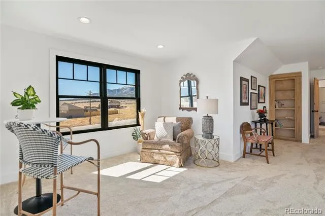 17320 County Road 306 Buena Vista, CO 81211