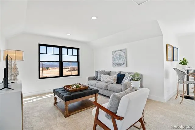 17320 County Road 306 Buena Vista, CO 81211