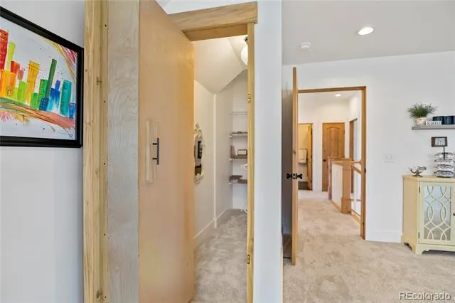 17320 County Road 306 Buena Vista, CO 81211