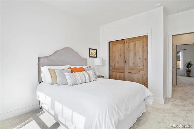 17320 County Road 306 Buena Vista, CO 81211