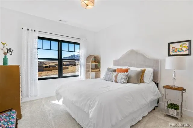 17320 County Road 306 Buena Vista, CO 81211