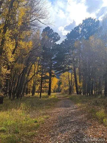 17320 County Road 306 Buena Vista, CO 81211