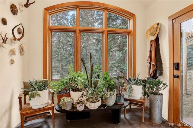 24844 Turkey Creek Road Evergreen, CO 80439