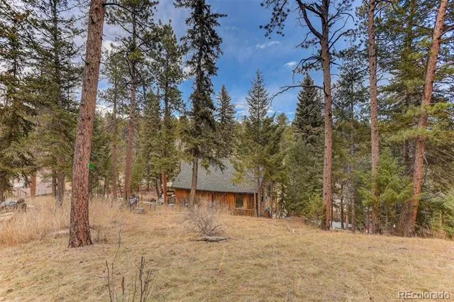 24844 Turkey Creek Road Evergreen, CO 80439