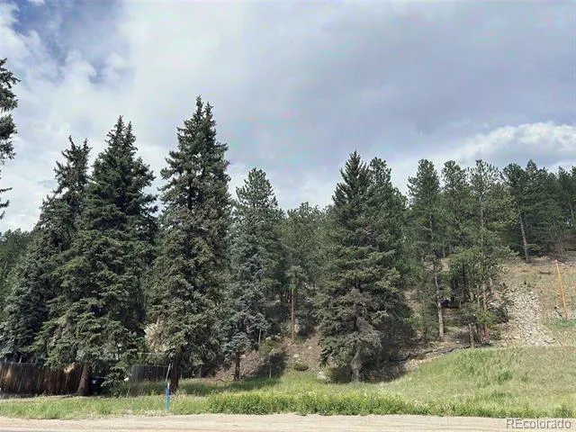 5190 County Road 73 Evergreen, CO 80439