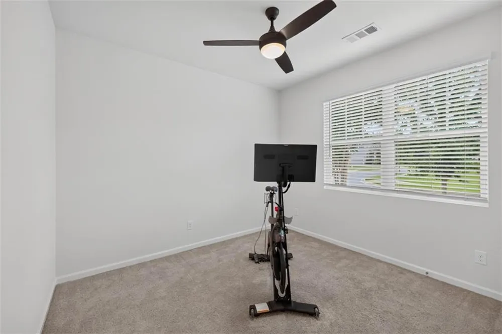 6750 Star Gaze Court Flowery Branch, GA 30542