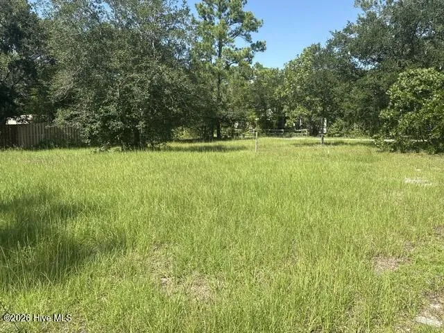 336 Old Folkstone Road Holly Ridge, NC 28445