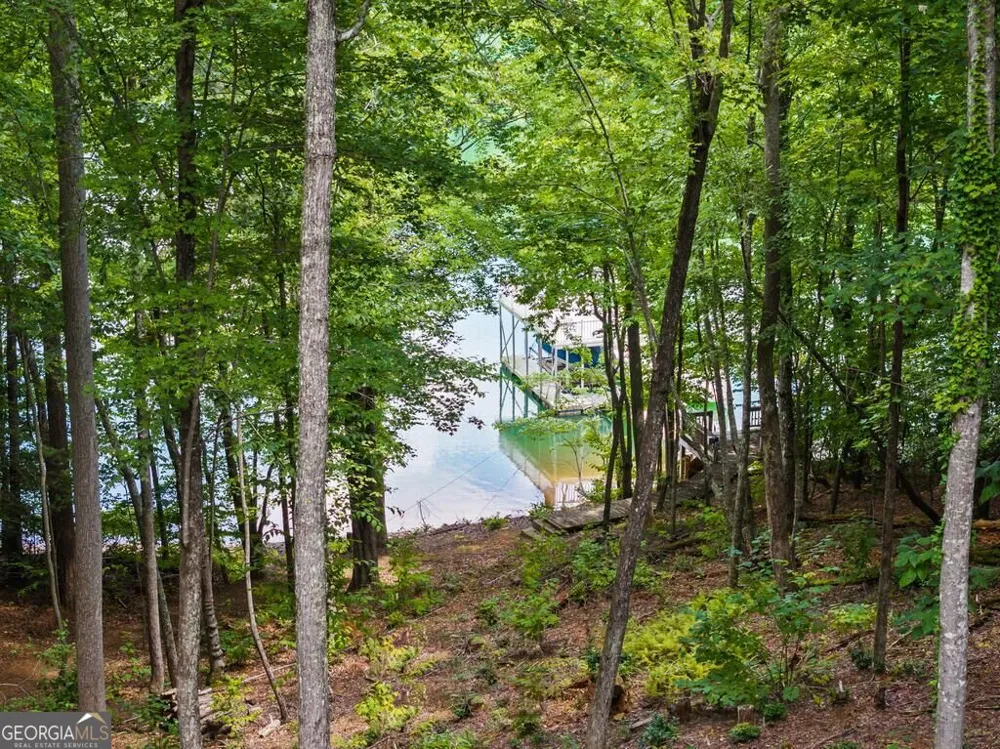 281 Pine Cone RD Blue Ridge, GA 30513