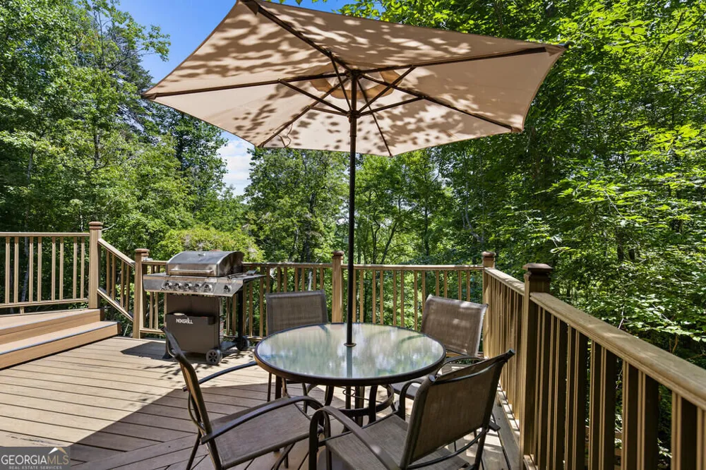 281 Pine Cone RD Blue Ridge, GA 30513