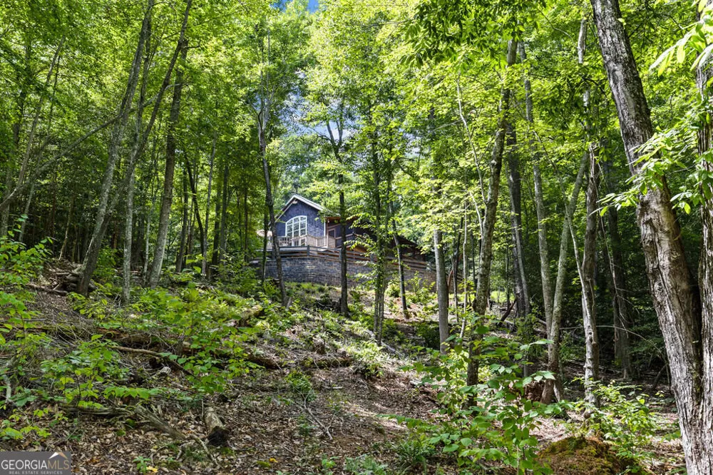 281 Pine Cone RD Blue Ridge, GA 30513
