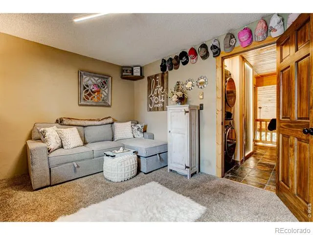 321 Big Horn Drive Estes Park, CO 80517