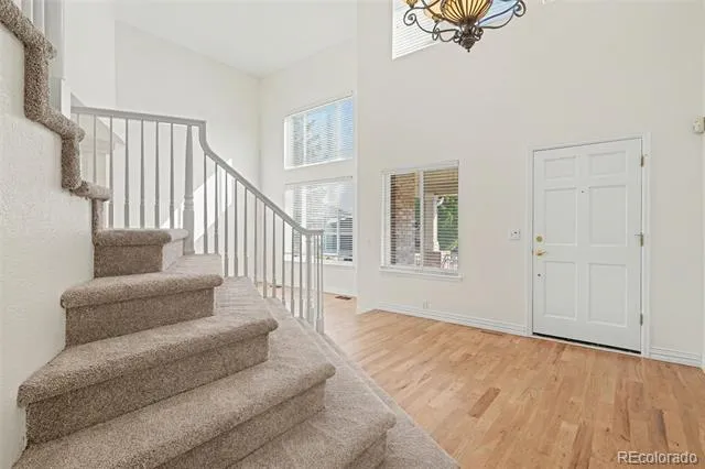 6716 Millstone Street Highlands Ranch, CO 80130