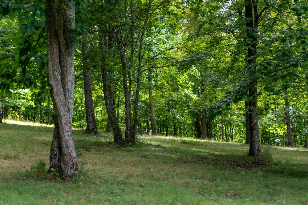 243 Roaring Creek Road Dunlap, TN 37327