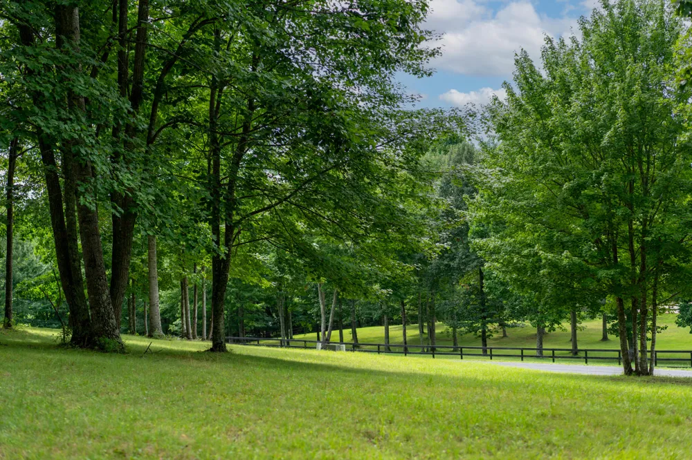 243 Roaring Creek Road Dunlap, TN 37327