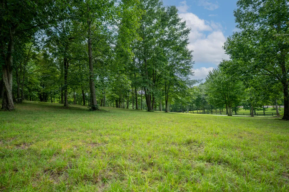 243 Roaring Creek Road Dunlap, TN 37327