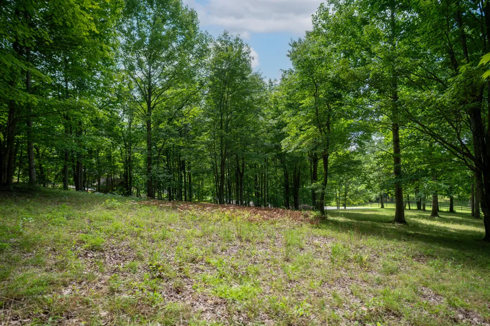 243 Roaring Creek Road Dunlap, TN 37327