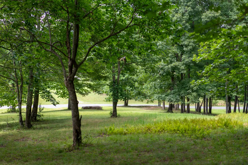 243 Roaring Creek Road Dunlap, TN 37327