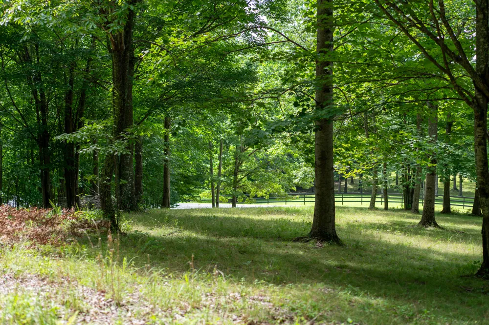 243 Roaring Creek Road Dunlap, TN 37327