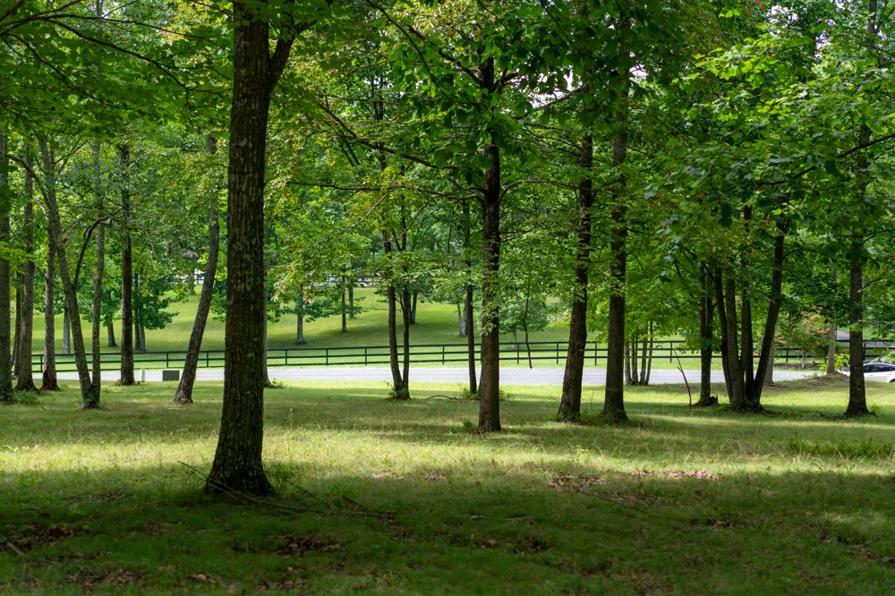 243 Roaring Creek Road Dunlap, TN 37327