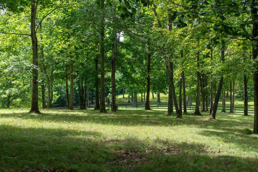 243 Roaring Creek Road Dunlap, TN 37327
