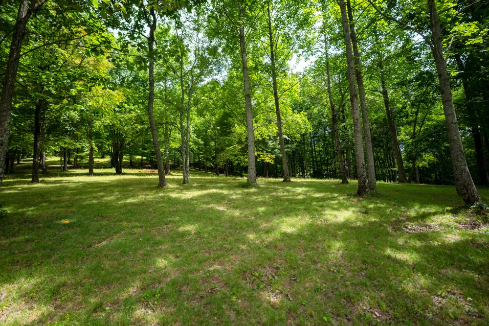 243 Roaring Creek Road Dunlap, TN 37327