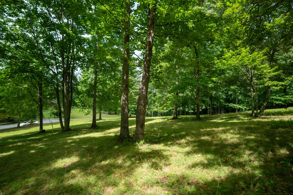 243 Roaring Creek Road Dunlap, TN 37327