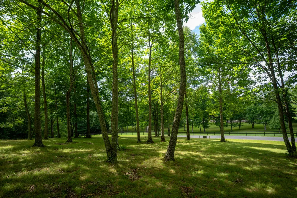 243 Roaring Creek Road Dunlap, TN 37327