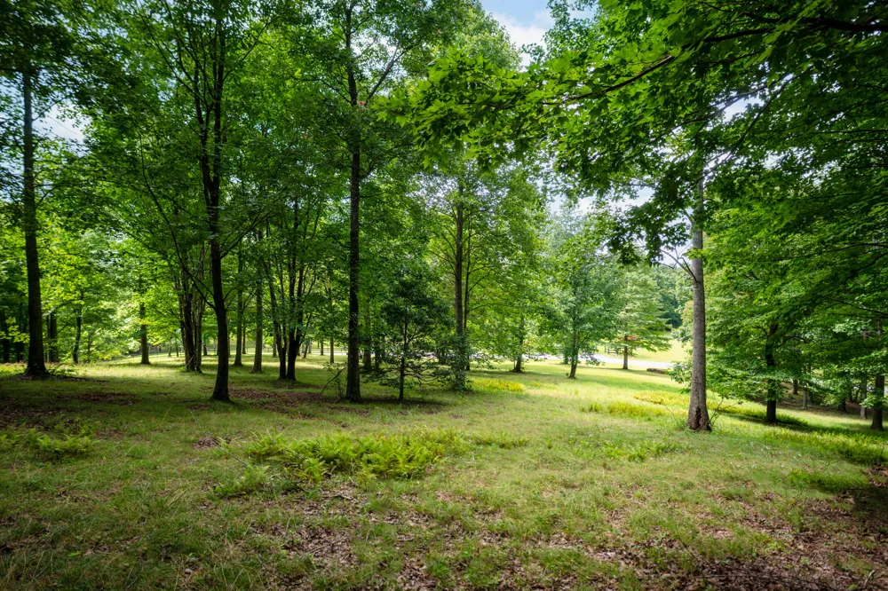 243 Roaring Creek Road Dunlap, TN 37327