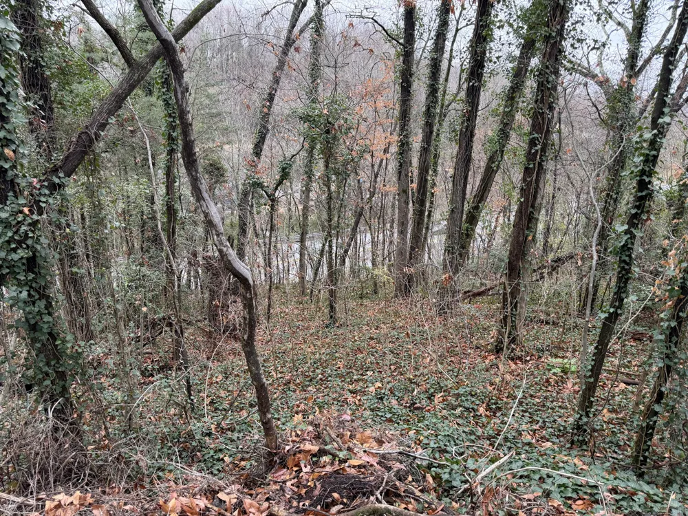 3991 Knollwood Terrace Chattanooga, TN 37415