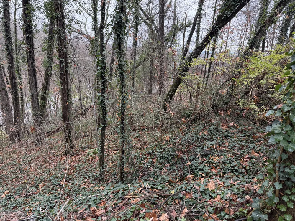 3991 Knollwood Terrace Chattanooga, TN 37415