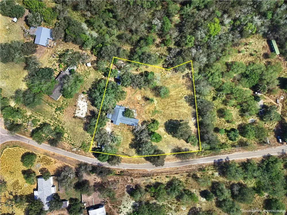 6244 Sandy Hollow Drive Robstown, TX 78380