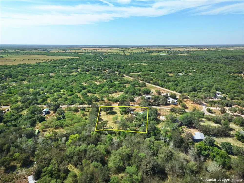6244 Sandy Hollow Drive Robstown, TX 78380