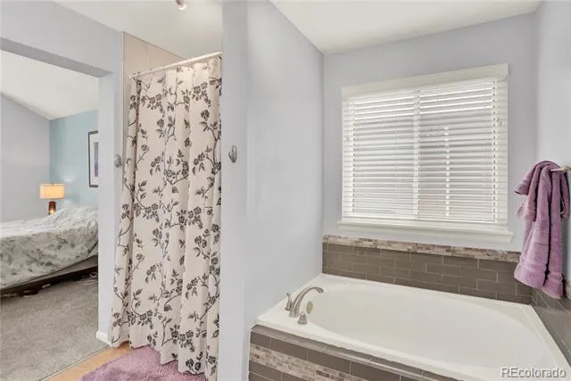 9543 Hagen Court Highlands Ranch, CO 80126