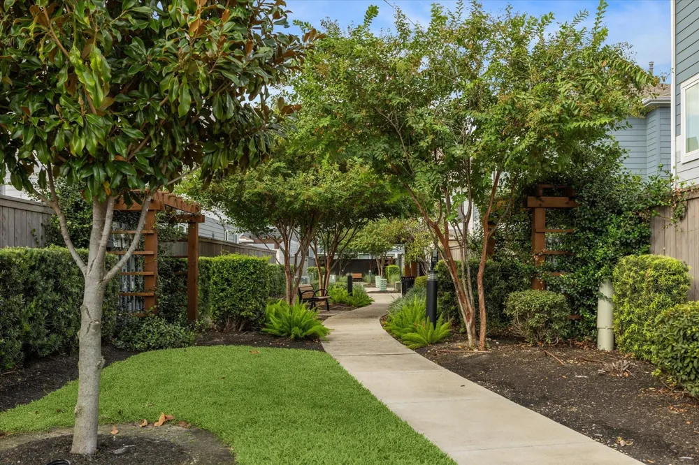 1415 Biondo Way Houston, TX 77008
