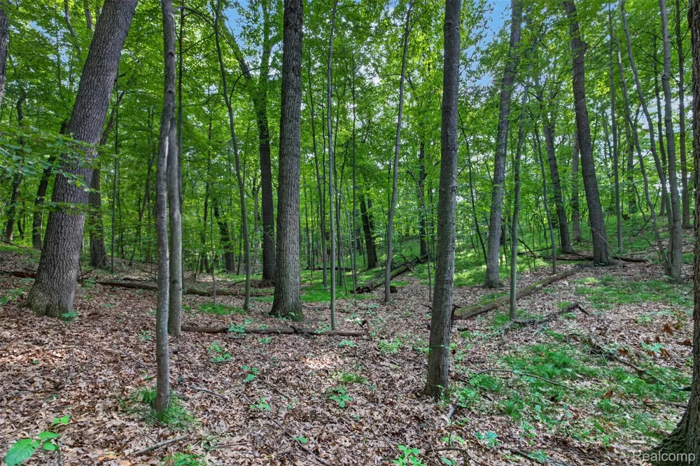 Faust Dr Brandon Charter Township, MI 48462