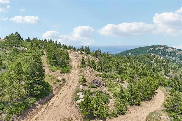 11917 Flat Top Trail Littleton, CO 80127