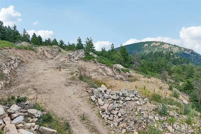 11917 Flat Top Trail Littleton, CO 80127