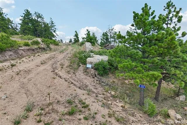11917 Flat Top Trail Littleton, CO 80127