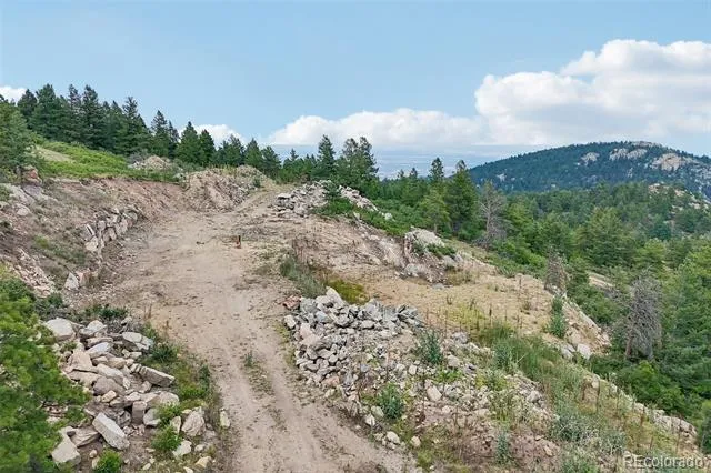 11917 Flat Top Trail Littleton, CO 80127