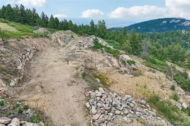 11917 Flat Top Trail Littleton, CO 80127