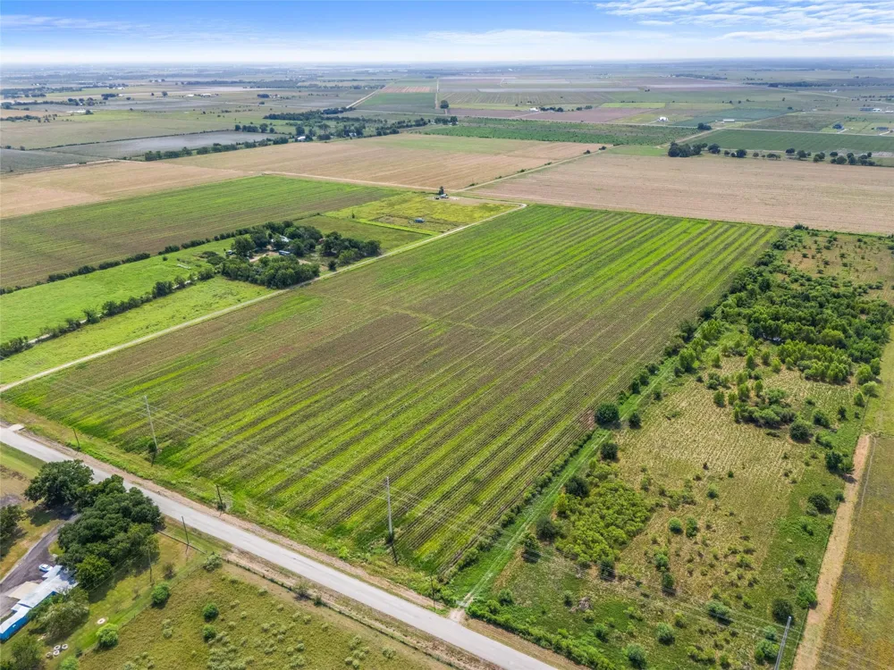 12203 Buls Road East Bernard, TX 77435