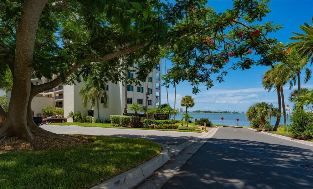 55 ROGERS STREET #P3 Clearwater, FL 33756